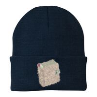 Knit Cap Thumbnail