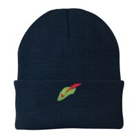 Knit Cap Thumbnail