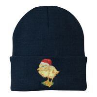 Knit Cap Thumbnail
