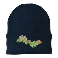 Knit Cap Thumbnail