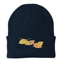 Knit Cap Thumbnail