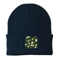 Knit Cap Thumbnail