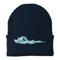 Knit Cap Thumbnail