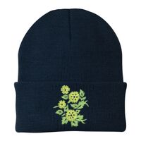 Knit Cap Thumbnail