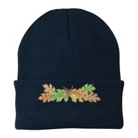 Knit Cap Thumbnail