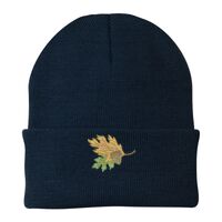 Knit Cap Thumbnail