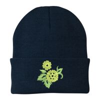 Knit Cap Thumbnail