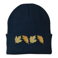 Knit Cap Thumbnail