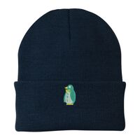 Knit Cap Thumbnail