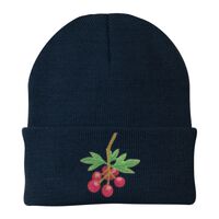 Knit Cap Thumbnail
