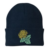 Knit Cap Thumbnail