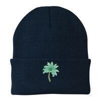 Knit Cap Thumbnail