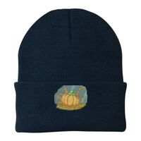 Knit Cap Thumbnail