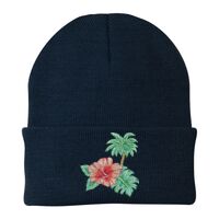 Knit Cap Thumbnail
