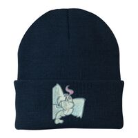 Knit Cap Thumbnail