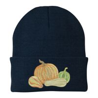 Knit Cap Thumbnail