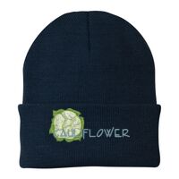 Knit Cap Thumbnail