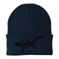 Knit Cap Thumbnail