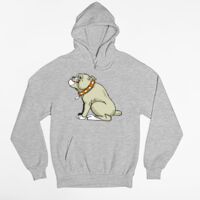 Premium Pullover Hoodie Unisex Thumbnail