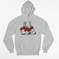 Premium Pullover Hoodie Unisex Thumbnail
