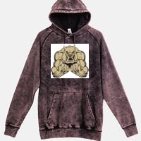 Lane Seven  Vintage Raglan Unisex Pullover Hoodie Thumbnail