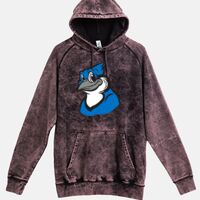 Lane Seven  Vintage Raglan Unisex Pullover Hoodie Thumbnail