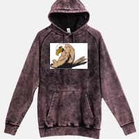 Lane Seven  Vintage Raglan Unisex Pullover Hoodie Thumbnail