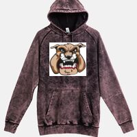 Lane Seven  Vintage Raglan Unisex Pullover Hoodie Thumbnail