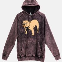 Lane Seven  Vintage Raglan Unisex Pullover Hoodie Thumbnail