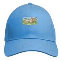 UNAMEIT Custom Hat, Embroidered. Your Own Text. Adjustable Back. Curved Bill Thumbnail