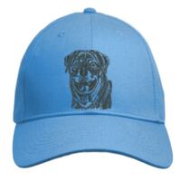 UNAMEIT Custom Hat, Embroidered. Your Own Text. Adjustable Back. Curved Bill Thumbnail