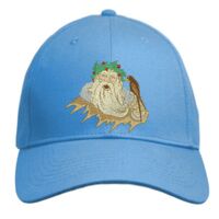 UNAMEIT Custom Hat, Embroidered. Your Own Text. Adjustable Back. Curved Bill Thumbnail