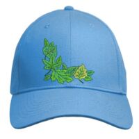 UNAMEIT Custom Hat, Embroidered. Your Own Text. Adjustable Back. Curved Bill Thumbnail