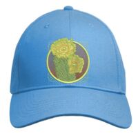 UNAMEIT Custom Hat, Embroidered. Your Own Text. Adjustable Back. Curved Bill Thumbnail