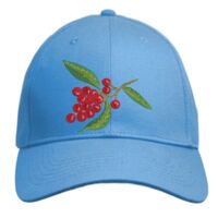 UNAMEIT Custom Hat, Embroidered. Your Own Text. Adjustable Back. Curved Bill Thumbnail