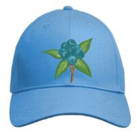 UNAMEIT Custom Hat, Embroidered. Your Own Text. Adjustable Back. Curved Bill Thumbnail