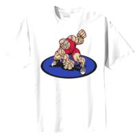 Tultex Mens Ring Spun Cotton Tee Thumbnail