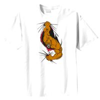 Tultex Mens Ring Spun Cotton Tee Thumbnail