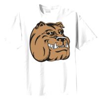 Tultex Mens Ring Spun Cotton Tee Thumbnail