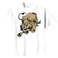 Tultex Mens Ring Spun Cotton Tee Thumbnail