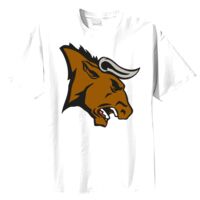 Tultex Mens Ring Spun Cotton Tee Thumbnail