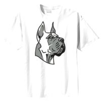 Tultex Mens Ring Spun Cotton Tee Thumbnail