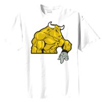 Tultex Mens Ring Spun Cotton Tee Thumbnail