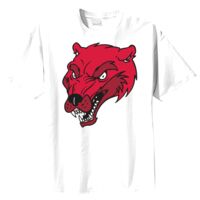 Tultex Mens Ring Spun Cotton Tee Thumbnail