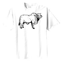 Tultex Mens Ring Spun Cotton Tee Thumbnail