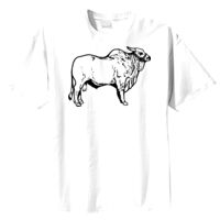 Tultex Mens Ring Spun Cotton Tee Thumbnail