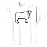 Tultex Mens Ring Spun Cotton Tee Thumbnail