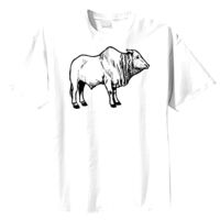 Tultex Mens Ring Spun Cotton Tee Thumbnail