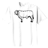 Tultex Mens Ring Spun Cotton Tee Thumbnail