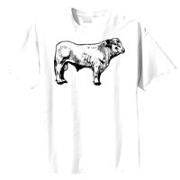 Tultex Mens Ring Spun Cotton Tee Thumbnail